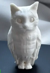0.2mm nozzle, 0.1mm layer, 4 walls, 15% infill