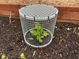 Plant cage ends (cylinder version)