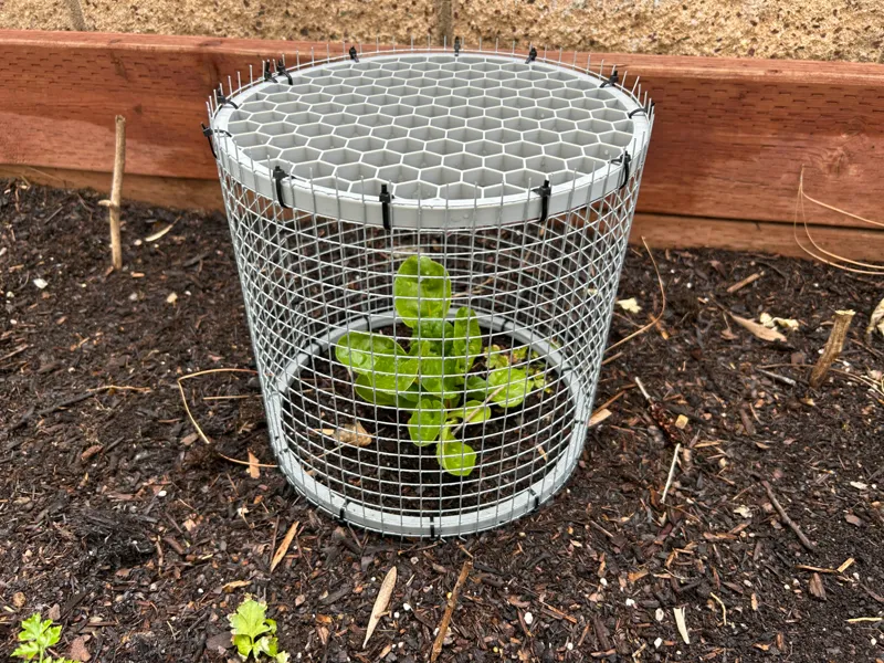 Plant cage ends (cylinder version)
