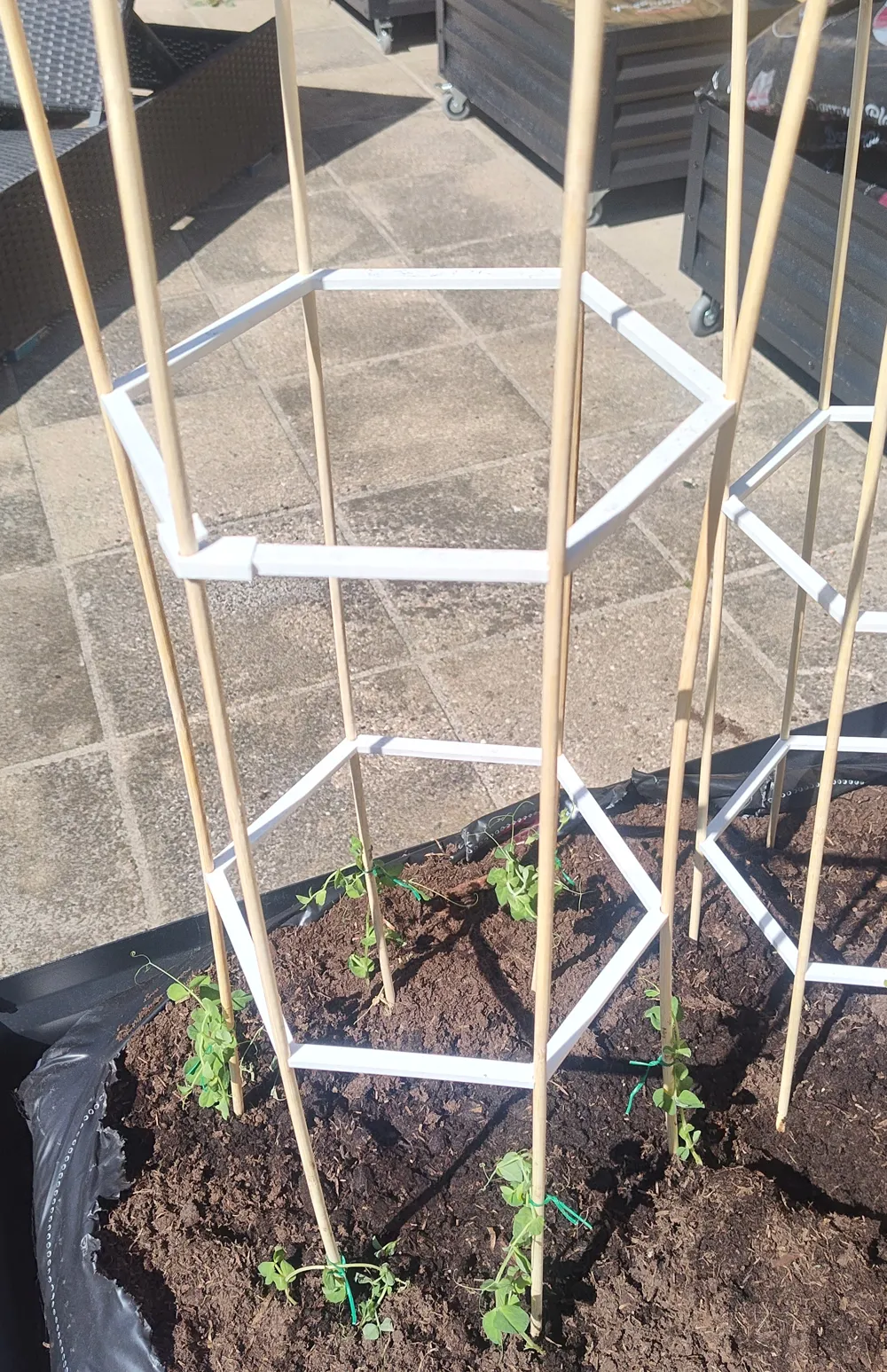 Hexagon Plant rack - Free 3D Print Model - MakerWorld