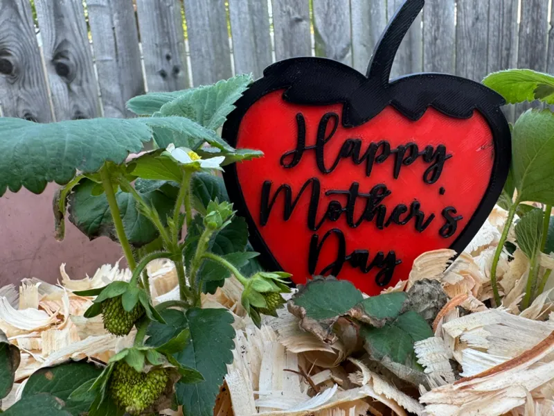 Mother's Day Strawberry Pot Stick