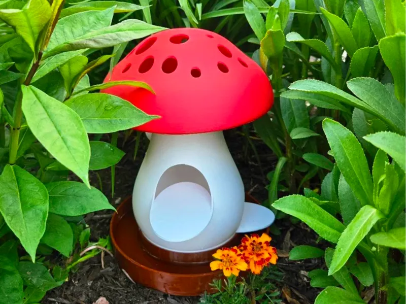 Mushroom Frog House