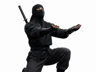Ninja Pen Holder