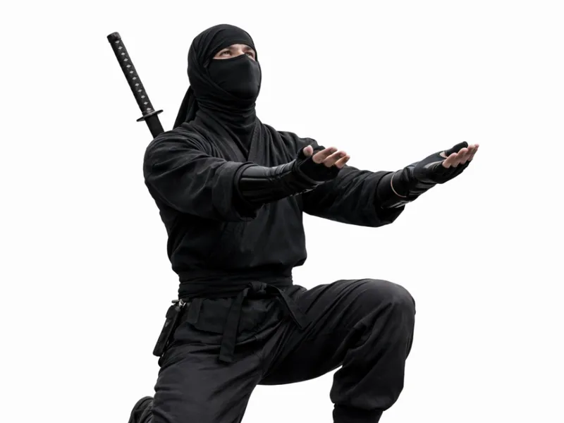 Ninja Pen Holder