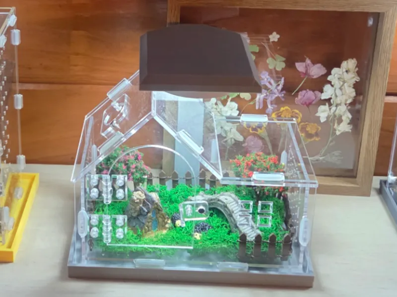 House Shaped Jumping Spider Lighting