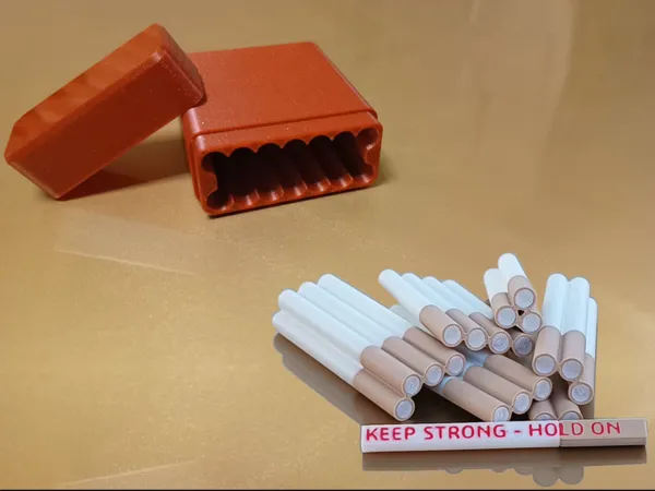 https://makerworld.bblmw.com/makerworld/model/USbcb315667a0cf7/design/2024-09-16_35462462df2a4.jpg