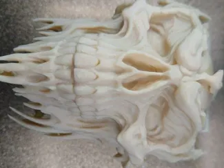 Demonic Skull