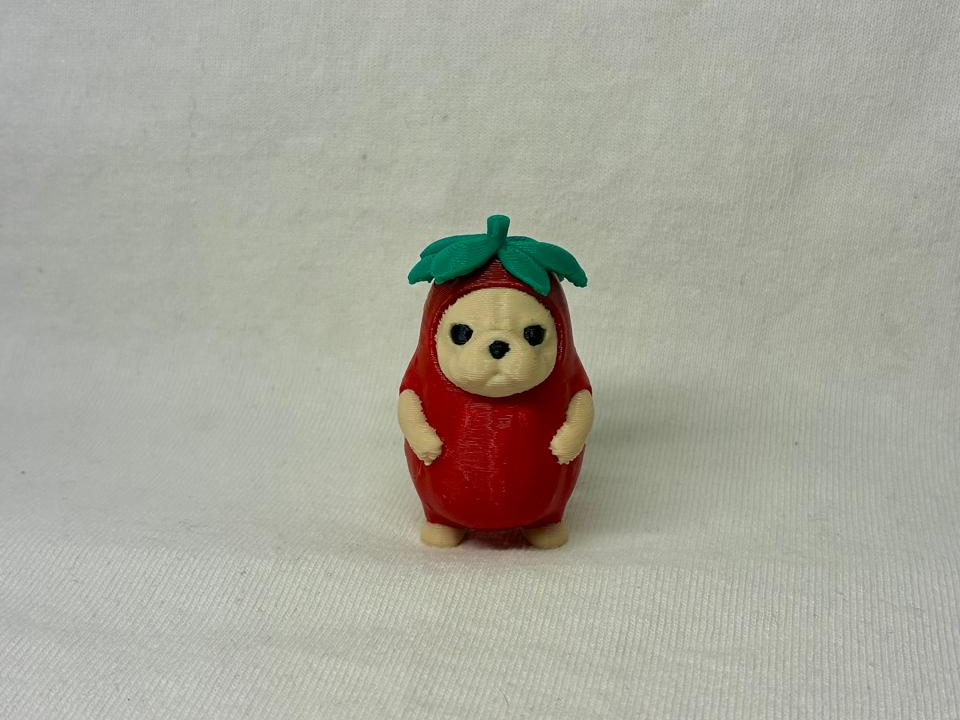 pibble de fresa 