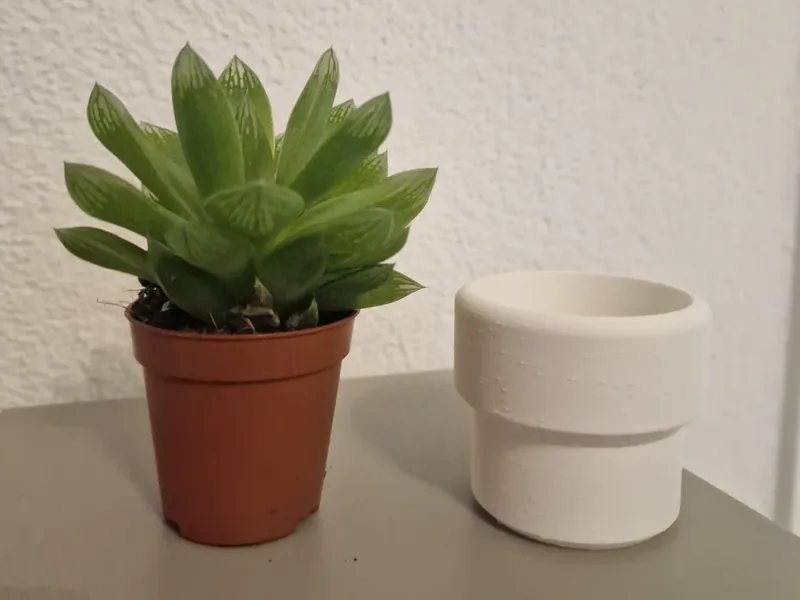 Mini Vase für Minipflanze