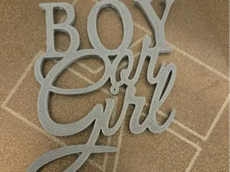 Boy or Girl Cake Topper