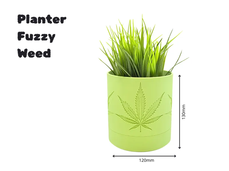 Planter Fuzzy Weed