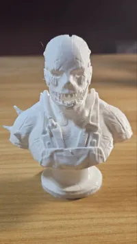 0.16mm layer, 2 walls, 8% infill