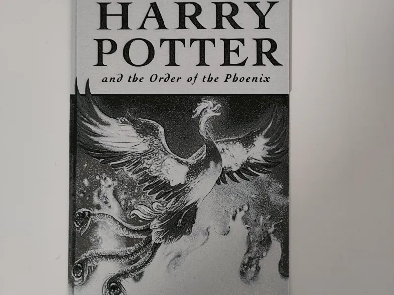 harry potter and the order of the phoenix