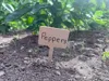 Blank Garden Sign | 0.2mm layer, 2 walls, 15% infill