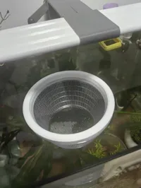 圆形育苗盒13x9