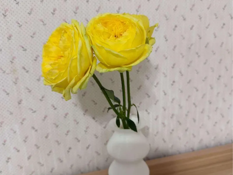 flower vase