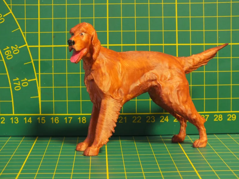 Irish Setter Red Setter Sotar Rua Standing