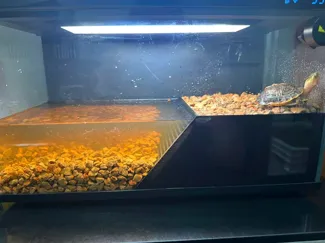 小米鱼缸养水陆龟爬台