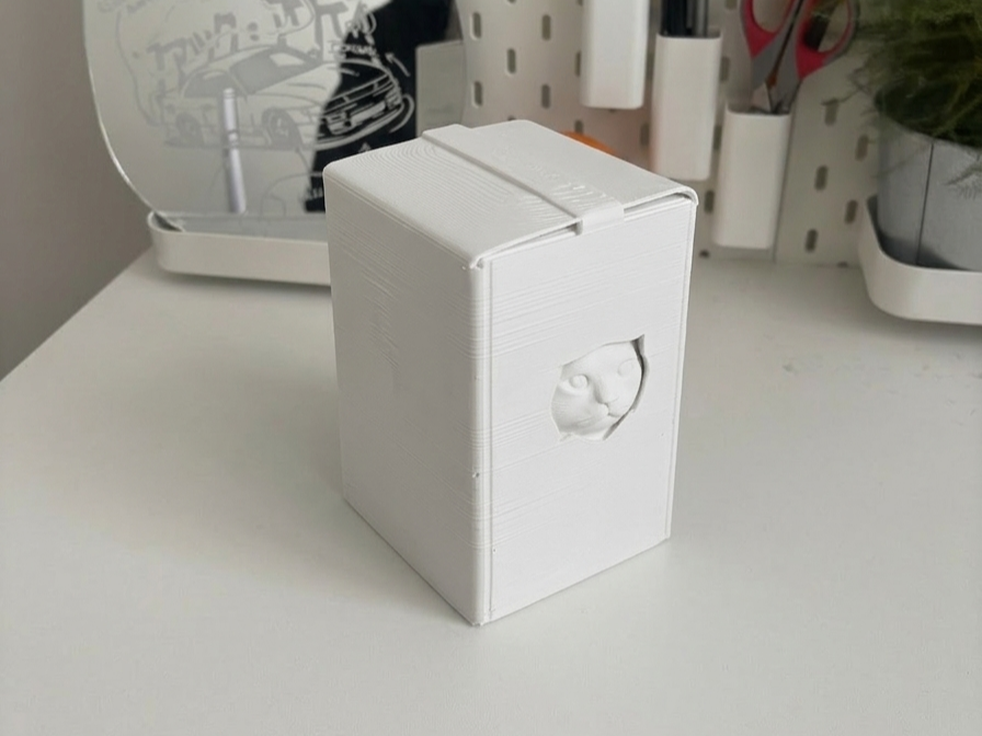 Secret Cat Box | Mysterious Peek-a-Boo Kitty