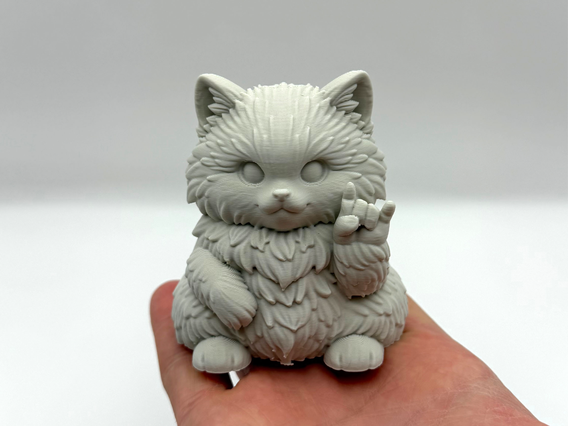Chonky RockOn Kitten