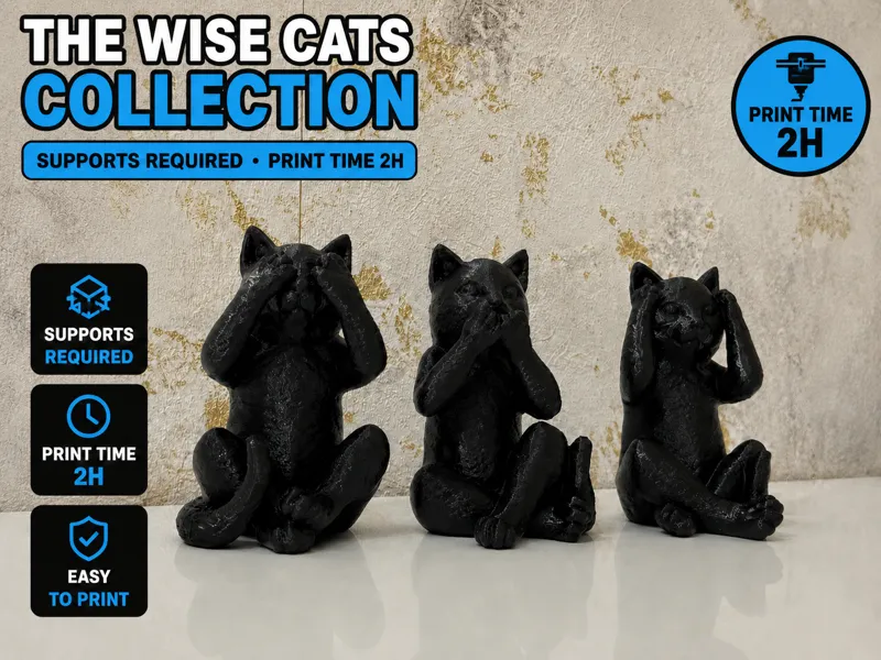 The Wise Cats Trio