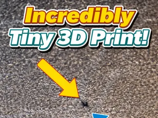 2nd World's Smallest 3d print