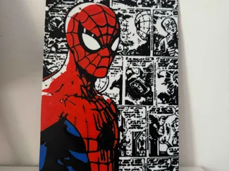 Cuadro de Spiderman comic
