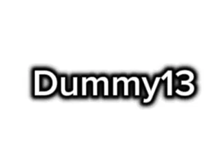 flexi dummy13 sign