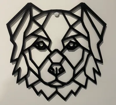 Australian Shepherd Geometry
