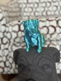 Bouledogue français assis — photo 2