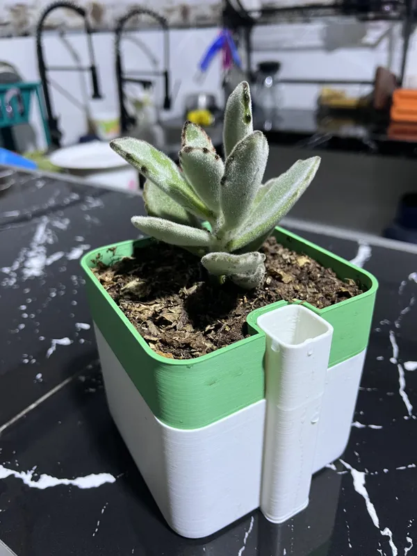 MACETA CON RECIPIENTE / POT WITH CONTAINER
