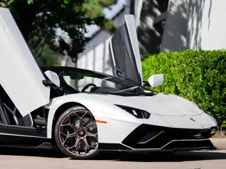 lamborgini (good print)