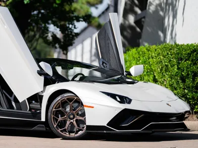 lamborgini (good print)