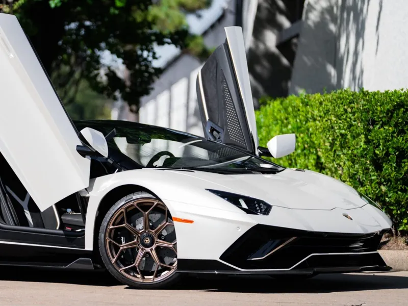 lamborgini (good print)