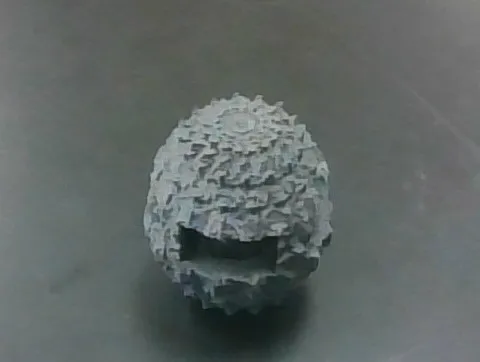 A dragon egg