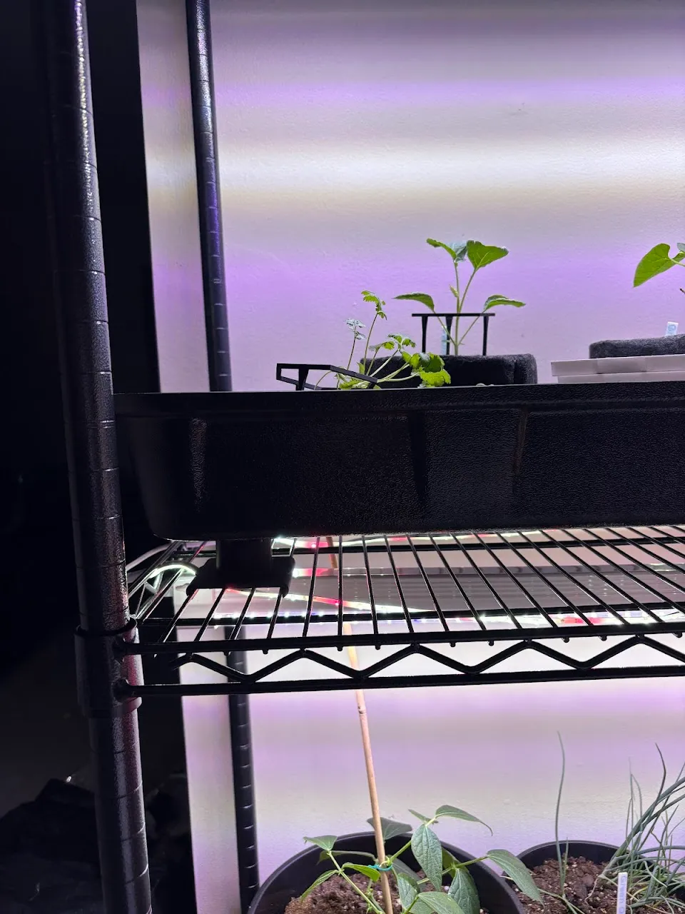 HDX Shelf Adjustable Risers - Free 3D Print Model - MakerWorld