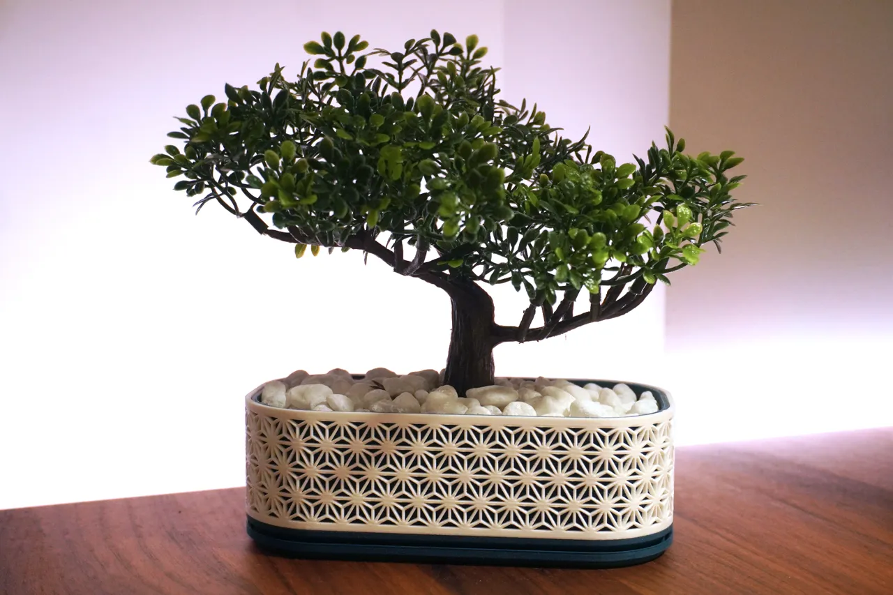 Kumiko Bonsai Planter - With Drip Tray - Foxwood view 3