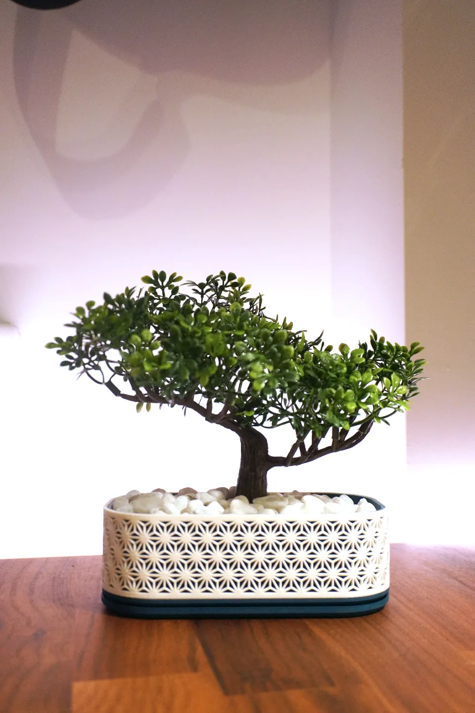 Kumiko Bonsai Planter - With Drip Tray - Foxwood view 2