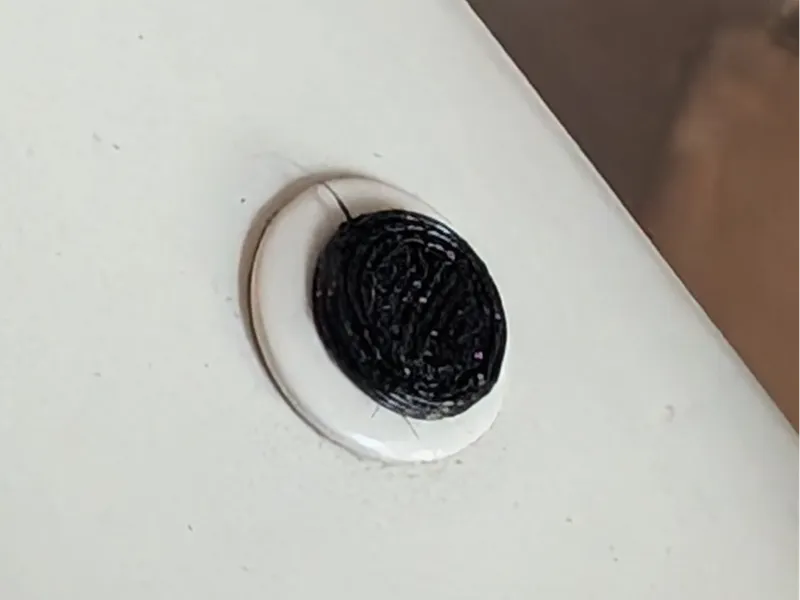 Trek Checkpoint Frame mount cap