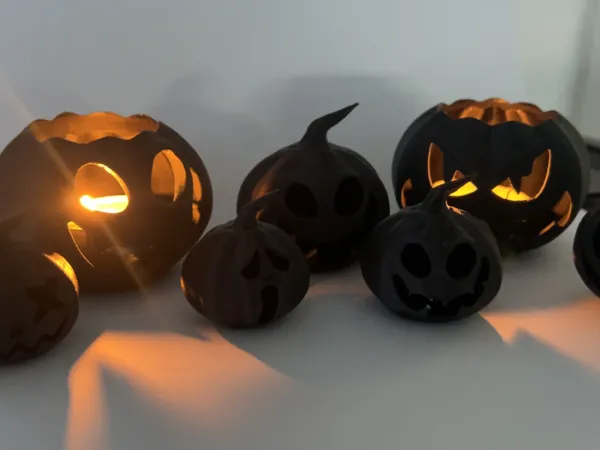 https://makerworld.bblmw.com/makerworld/model/USbcf1c757c002d8/design/2024-08-12_bdc455b9bff26.jpg