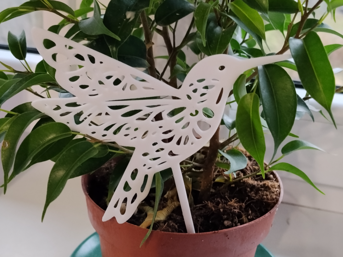 hummingbird flower pot decoration