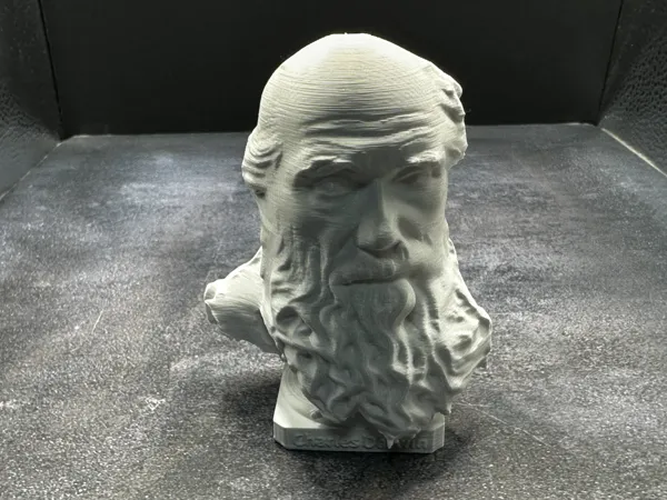 https://makerworld.bblmw.com/makerworld/model/USbcf84db49cfa15/design/2025-02-18_5fbb04f84d7ce.jpg