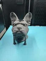 Porte-crayons tête de bouledogue — photo 9