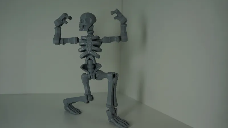 Toy Skeleton