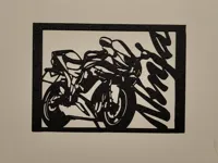 Déco murale Kawasaki Ninja — photo 2