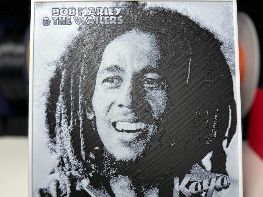 BOB MARLEY - KAYA (1978) | MODULAR HUEFORGE