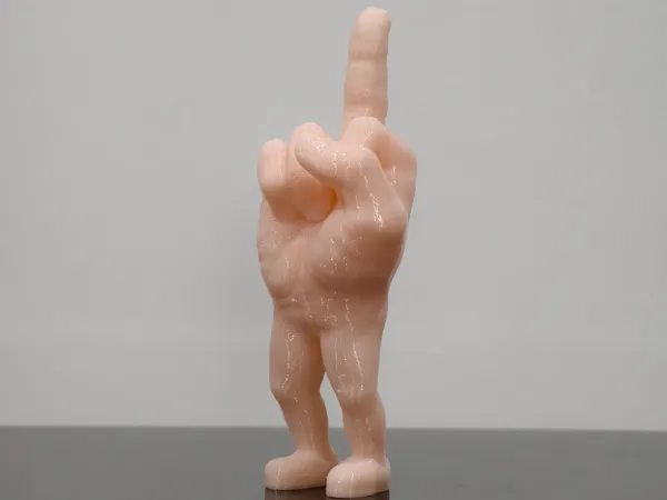https://makerworld.bblmw.com/makerworld/model/USbd0cb7e414e8d2/design/f6fc469c0655133f.jpg