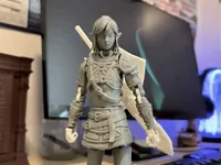 A1 Mini profile