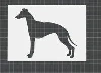 Whippet
