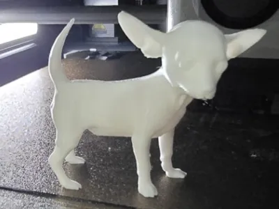 Chihuahua
